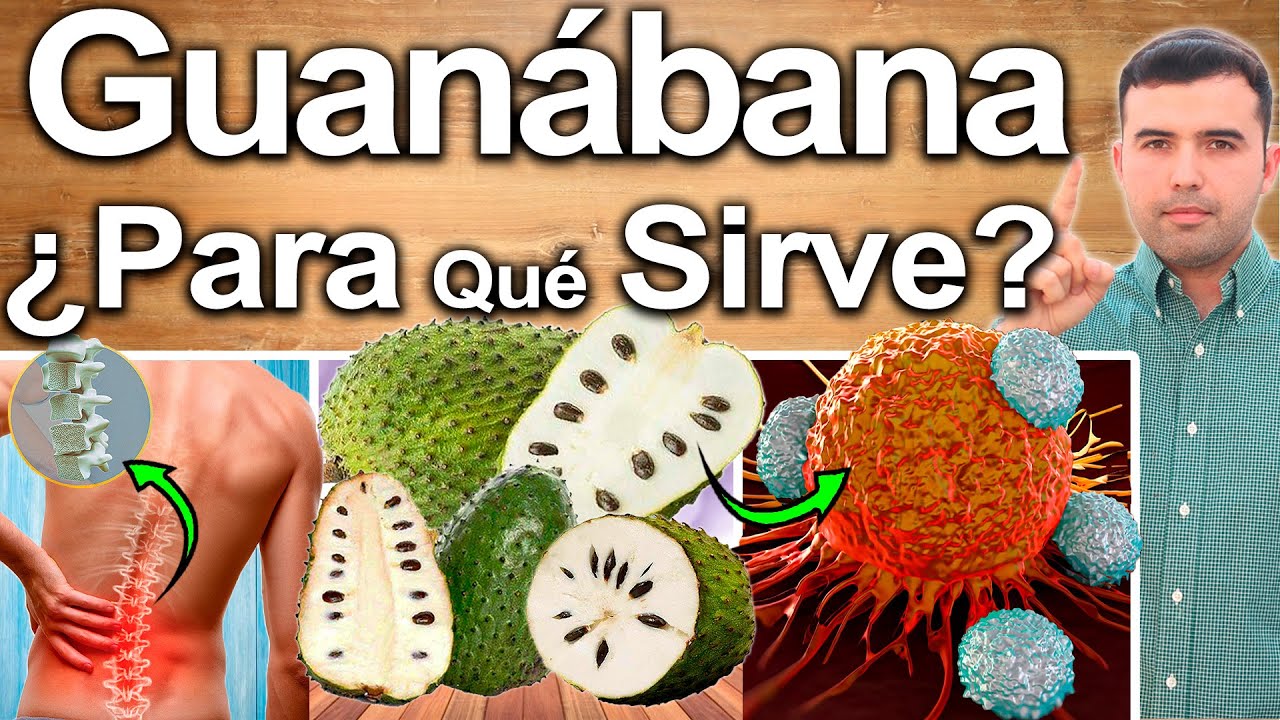 GUANABANA O GRAVIOLA - &iquest;Para Qu&eacute; Sirve? - Beneficios De La Guan&aacute;bana Para Tu&nbsp;Salud&nbsp;Y&nbsp;Belleza