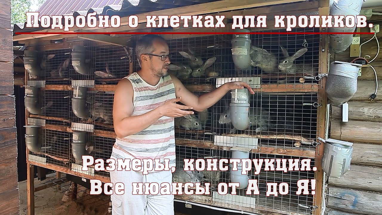 Подробно о клетках для кроликов. Размеры, конструкция. Все нюансы от А до Я!