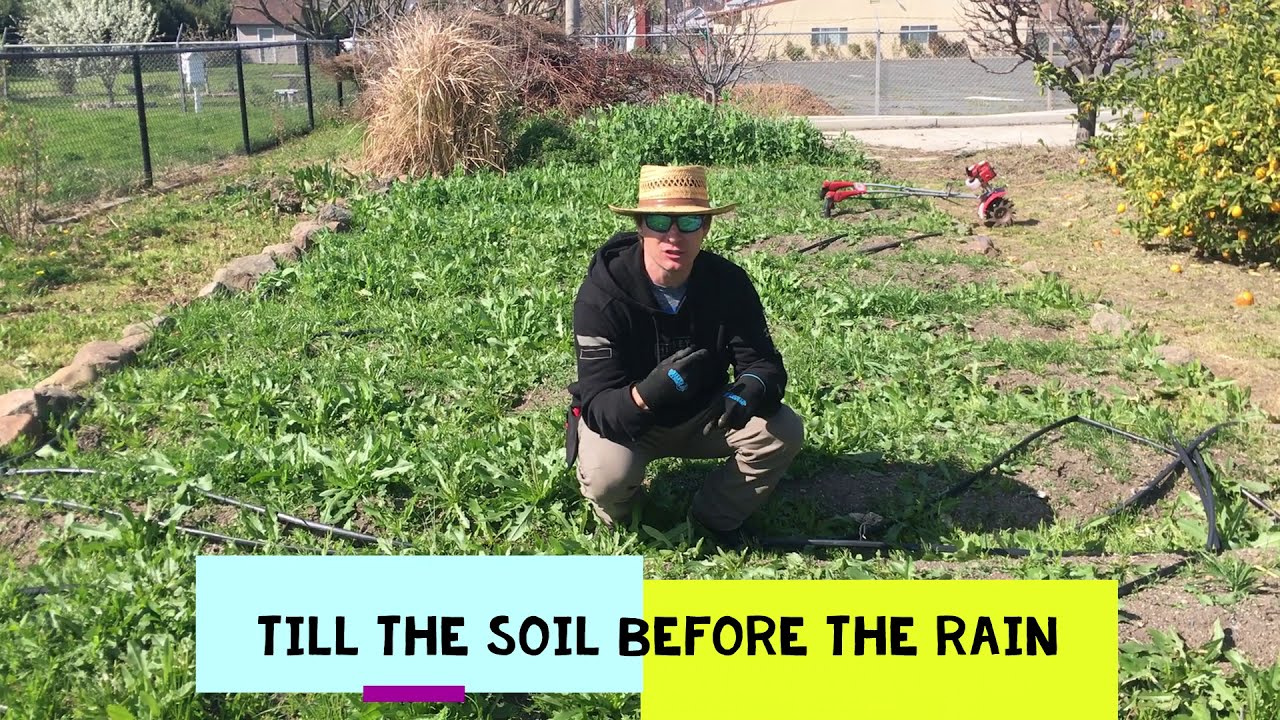 Spring Preparations At Our School Garden // Time Lapse of Rototilling And Weed Removal