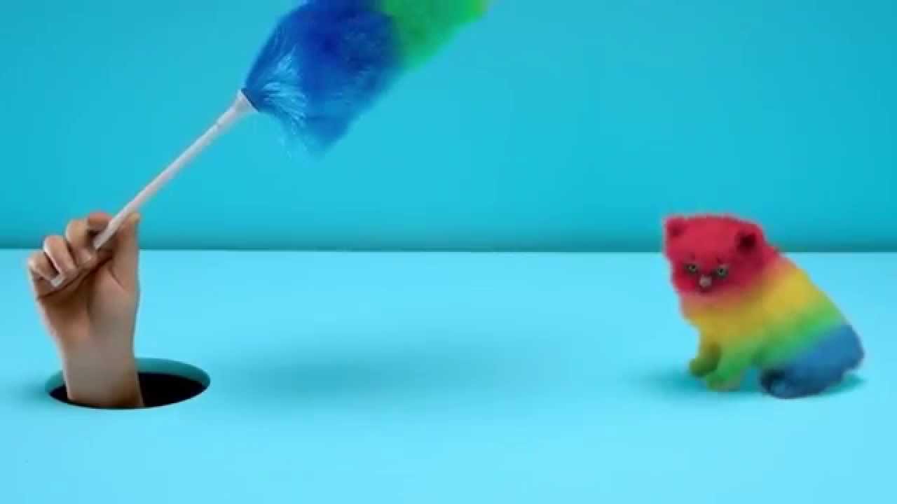 'Kittens and Rainbows' Commercial - Koodo Mobile