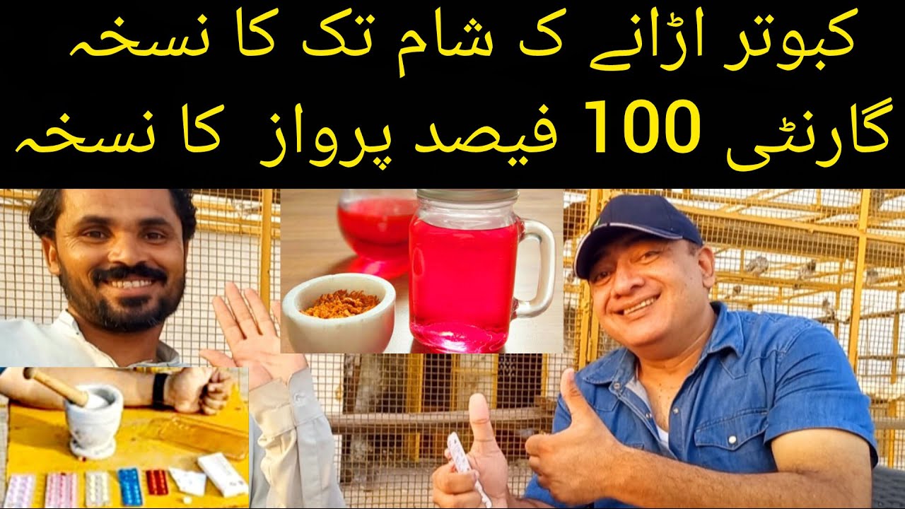 Kabootar ki Sham tak parwaz ka Nuskha