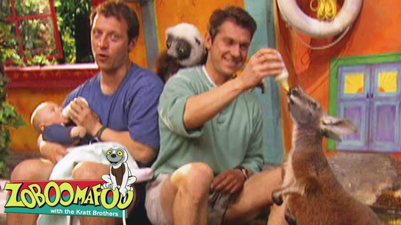Grow, Zoboo, Grow | Zoboomafoo - WildBrain | Movies for Kids