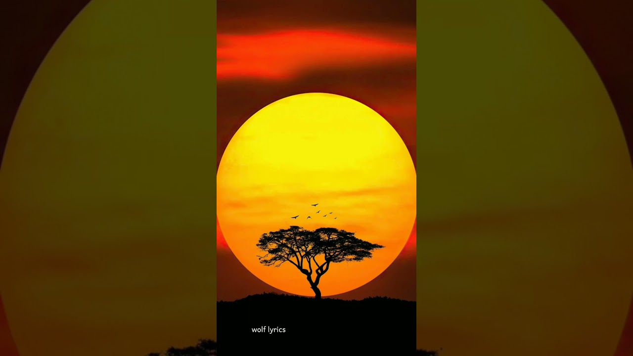 Daltizzy_-_Africanos _ft_Beasty_(LETRA BY WOLF LYRICS)