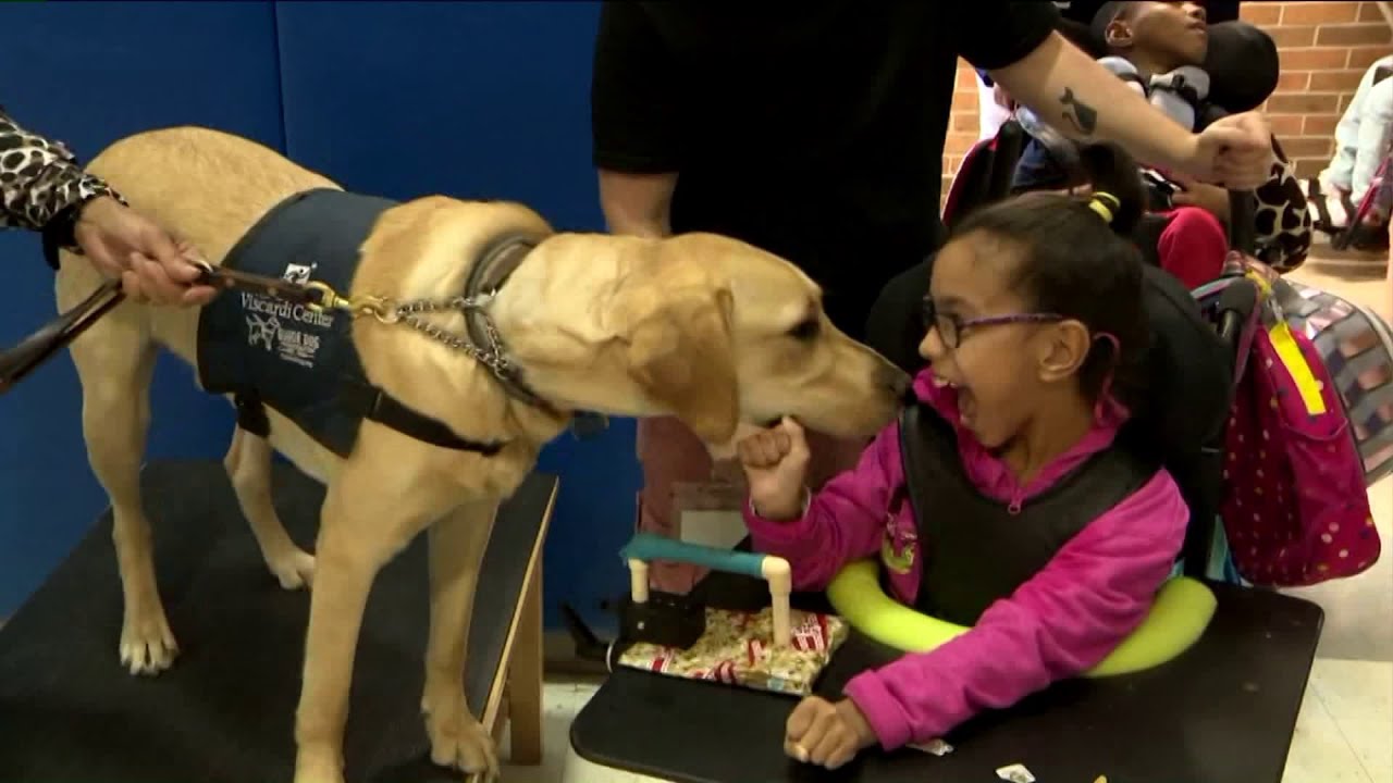 Dog joins Nassau County school staff to help special needs students