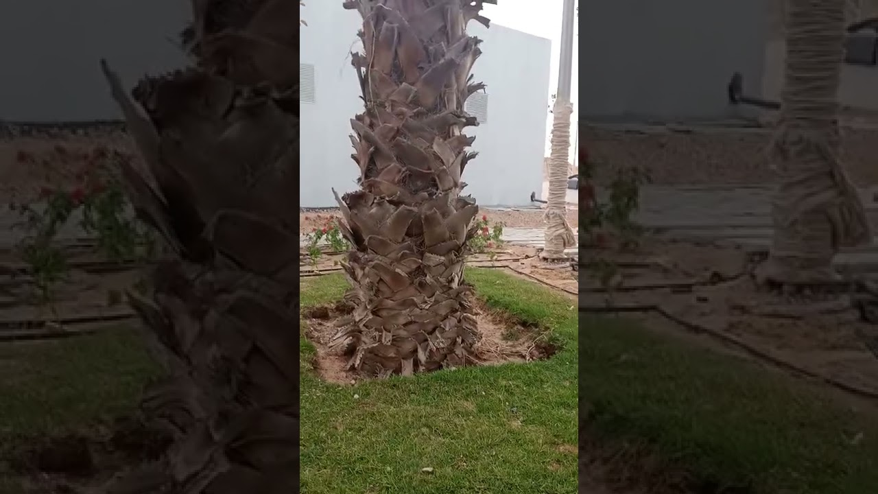 كيف تستلم موقع صيانه لاندسكيب