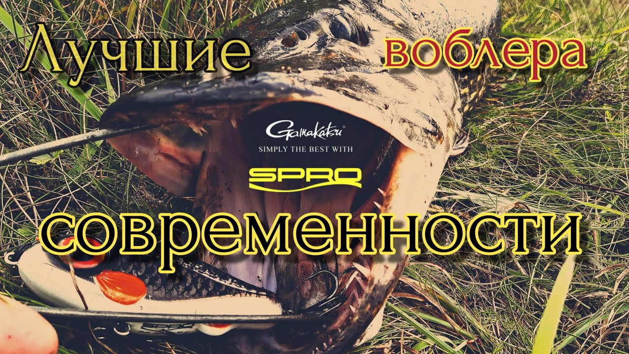 ЛУЧШИЕ ВОБЛЕРА СОВРЕМЕННОСТИ | ТОП ЕВРОПЫ | SPRO | FISHING | lure