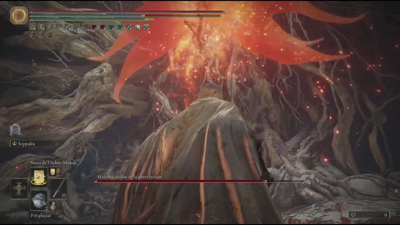 Malenia ng5 No Hit ( Build Glass Canon )