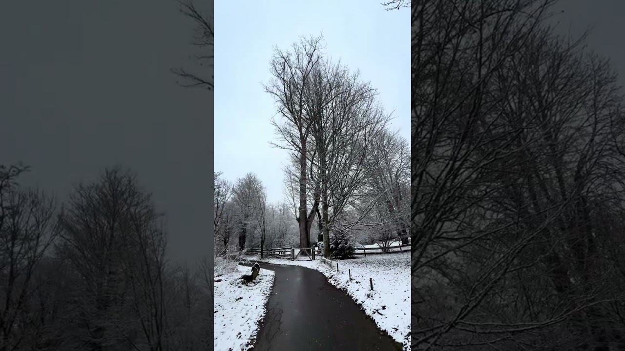 Schladern: kar ,orman,nehir ve huzur 
