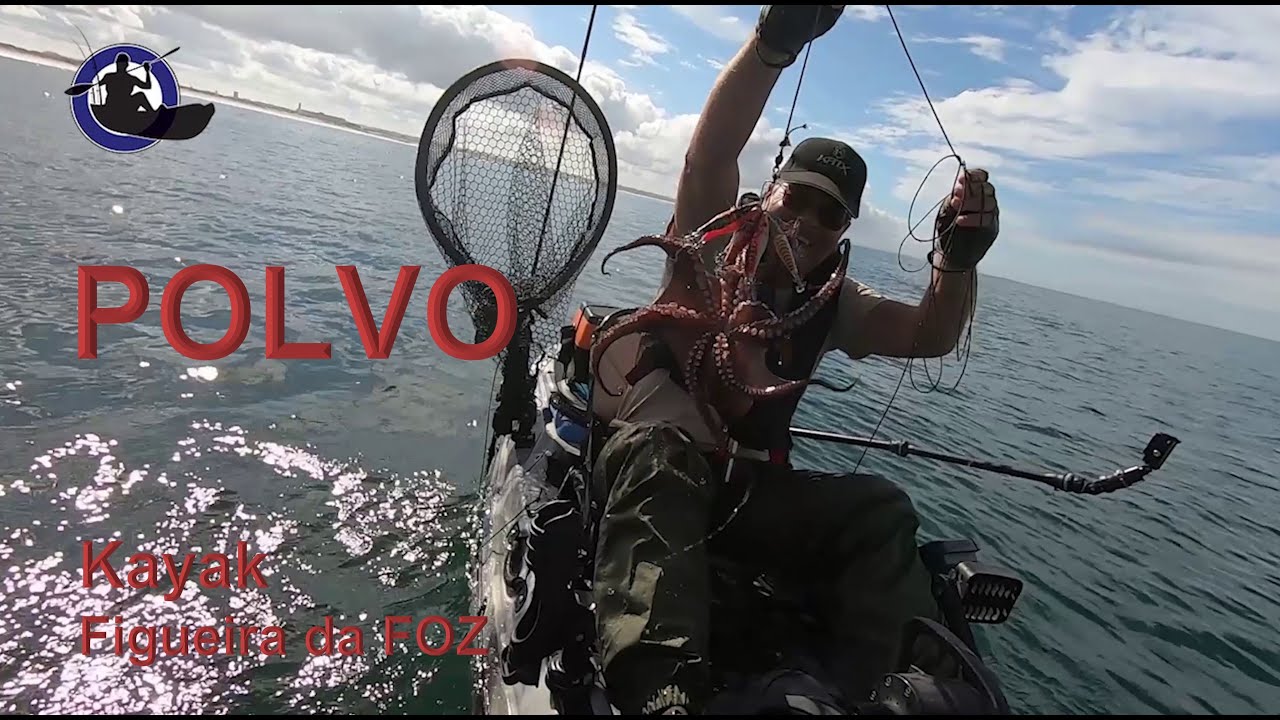 POLVO - Pesca em Kayak na Figueira da Foz