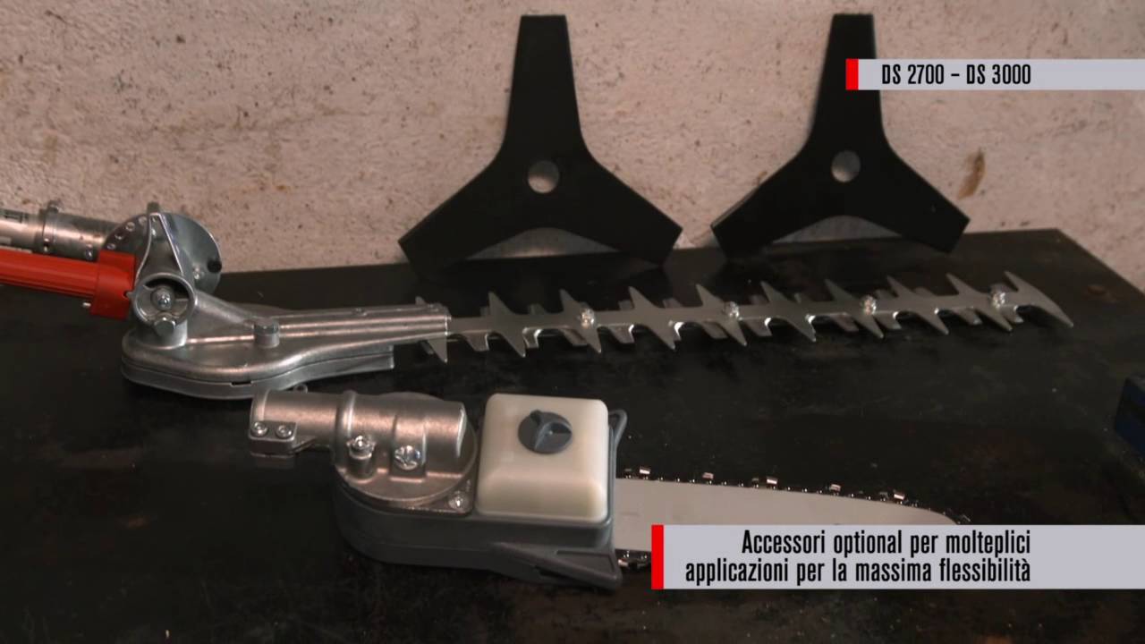 Decespugliatori Efco DS2700 DS3000 DS3500 DS4310