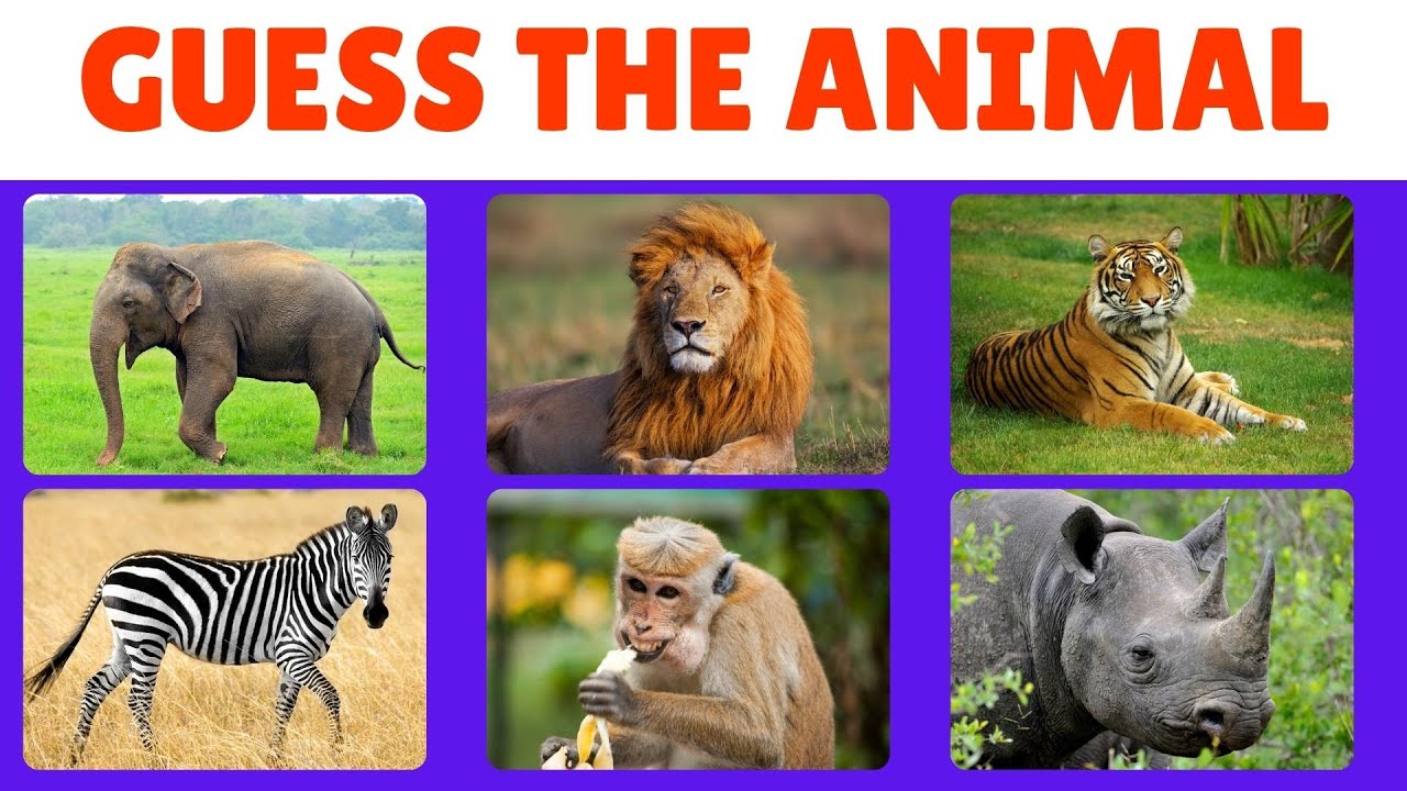 GUESS the ANIMAL | Animals | Animals Quiz | Animals for Kids | Animals Name | Animals Trivia | Quiz