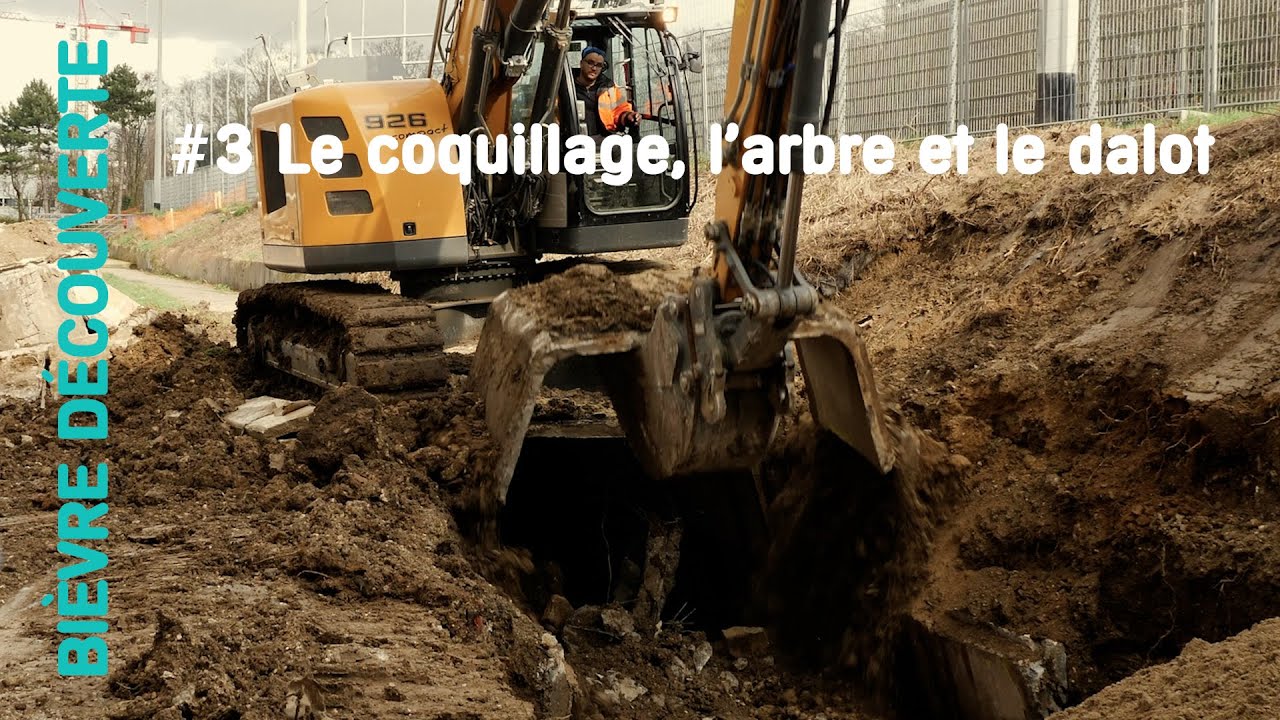 Bièvre découverte  #3 Le coquillage, l'arbre et le dalot