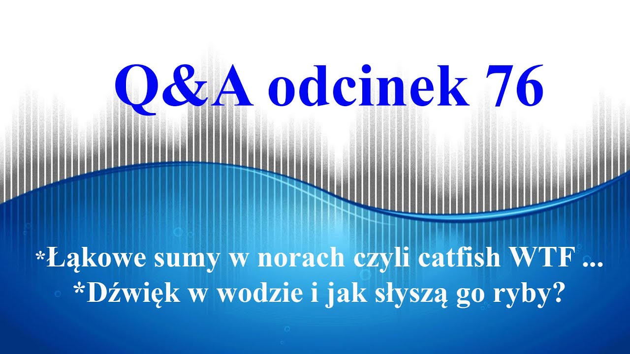 Q&A odcinek 76 - podziemne sumy i jak hałas działa na drapieżniki?