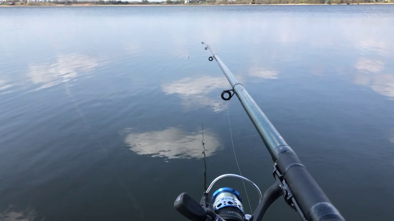 Fishing 🦈 in Ponnani