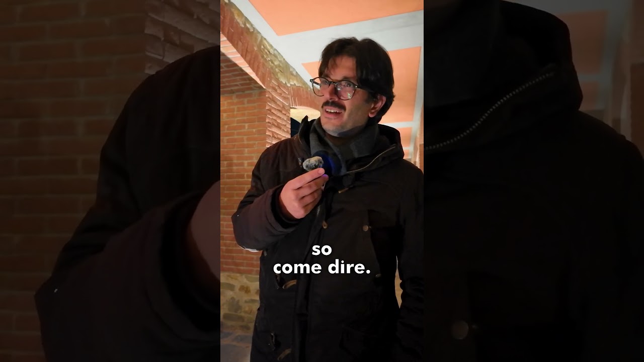Essere REGISTI e PRODUTTORI 🤔 #budget #cortometraggio #produttore #regista