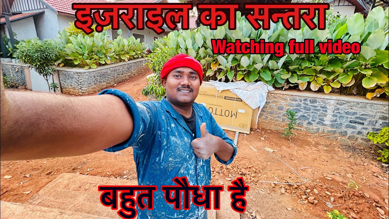 इज़रायली संतरा 🍊 #vlog 