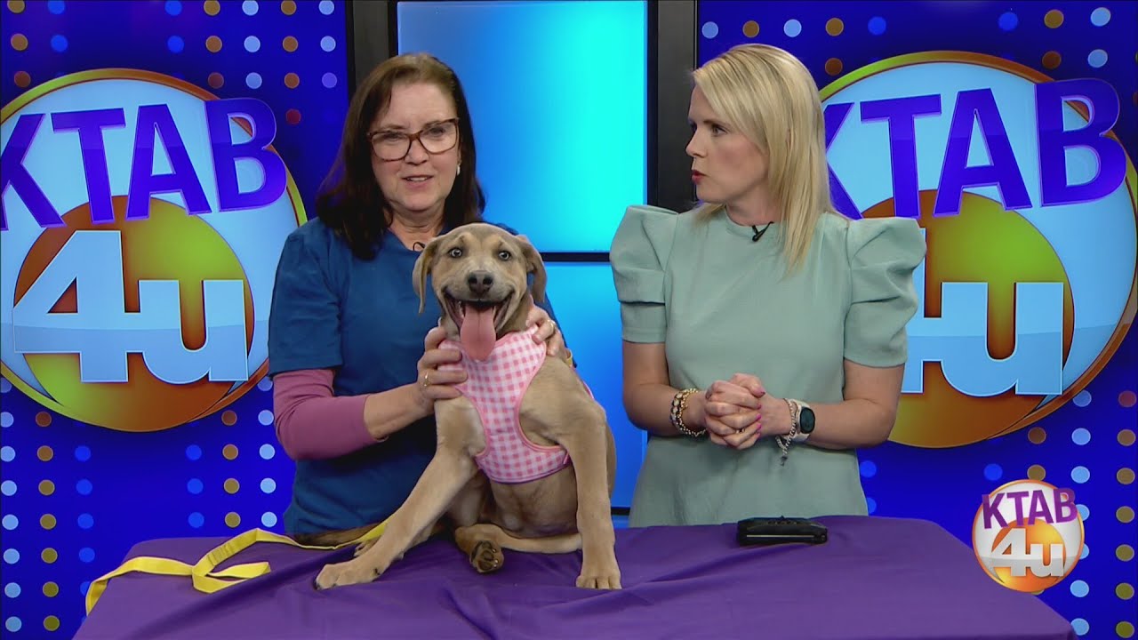 Miranda needs a home