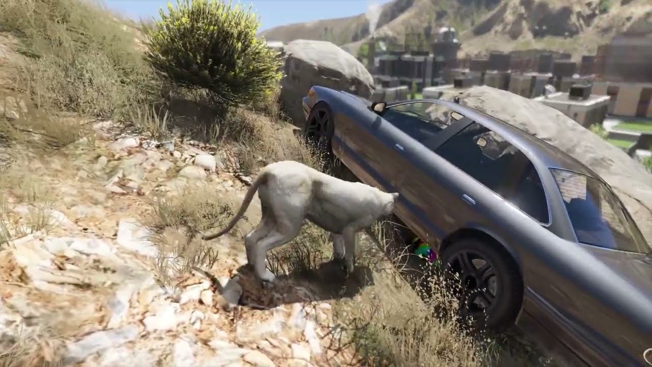 GTA 5 : FRANKLIN DRINK'S A POTION AND BECAME A MOUNTAIN LION 🦁