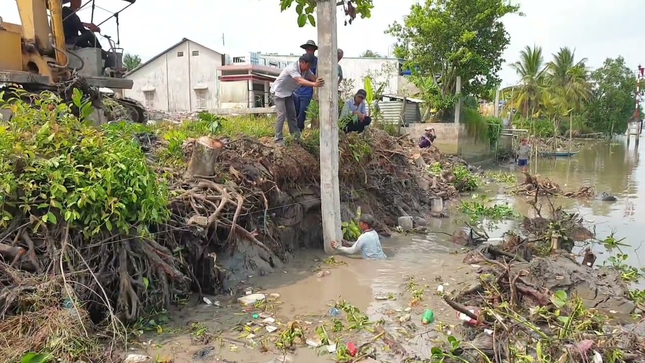 Đóng cọc bê tông làm bờ kè