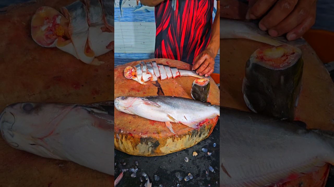 basa fish Pangasius fish jasar machi #trending #shorts #instagram #viralvideo #bigfish #youtube