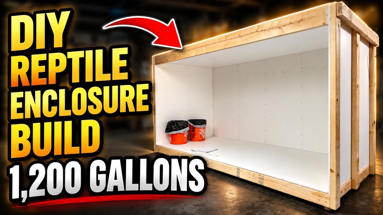 DIY HUGE Reptile Enclosure. How To Build a Reptile Cage | Part 1| #reptile #pvcenclosure