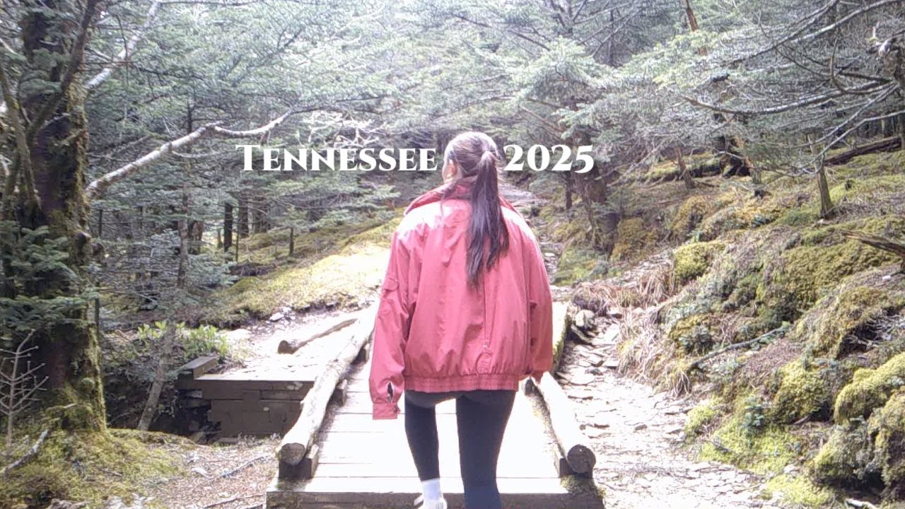 a travel diary: Tennessee 2025