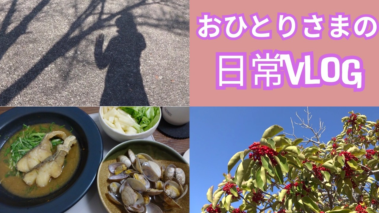 【50代一人暮らし】ショック、銀歯からセラミック歯へ。金額に驚愕/日常Vlog/おひとりさま/シングルライフ