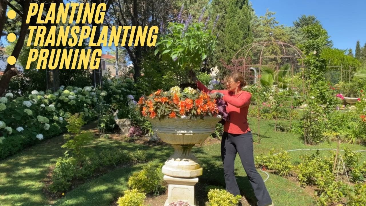 Planting, Transplanting & Pruning Tips for a Healthier Garden