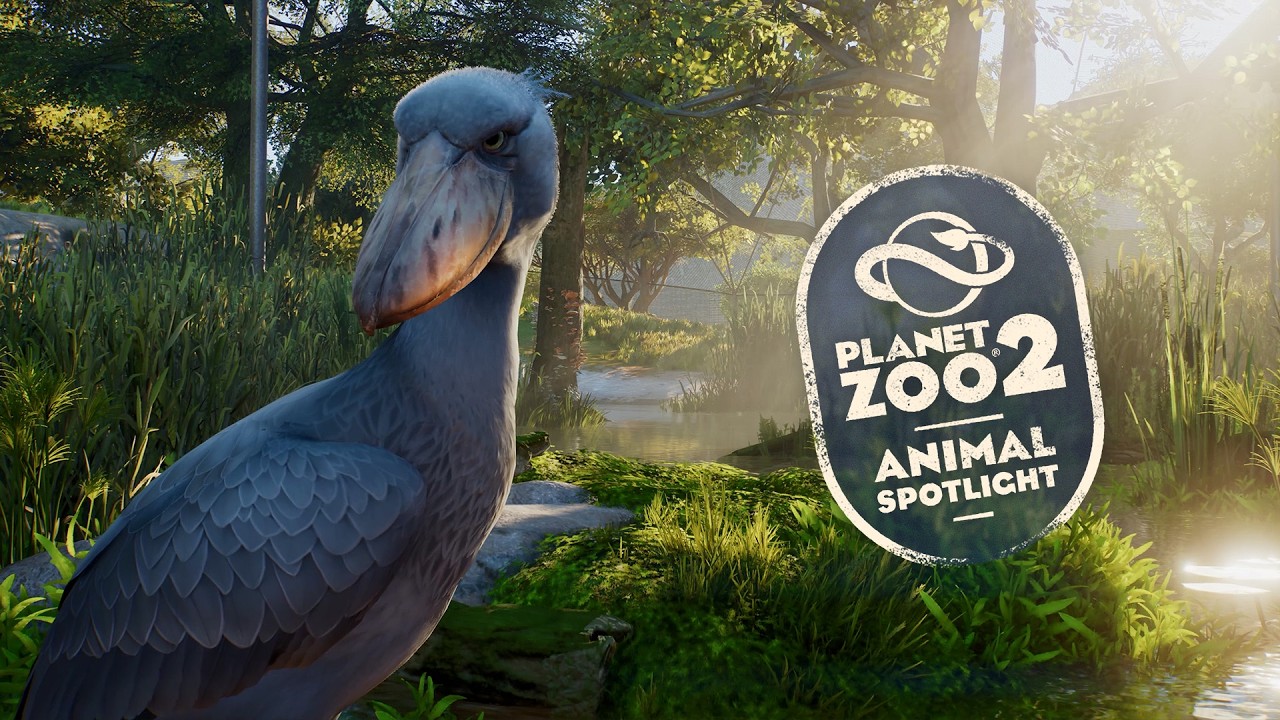 Planet Zoo 2 | Animal Spotlight - Shoebill