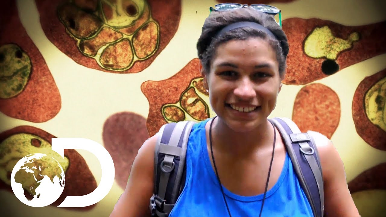 Malaria Nightmares Become A Reality | Monsters Inside Me