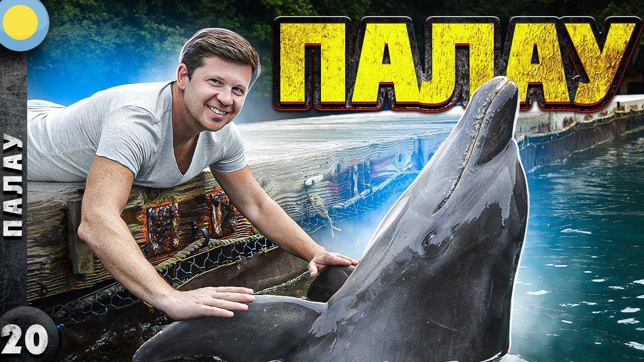 ПАЛАУ | Экстремальное КУПАНИЕ с МЕДУЗАМИ на райских ОСТРОВАХ | Озеро МЕДУЗ в Палау