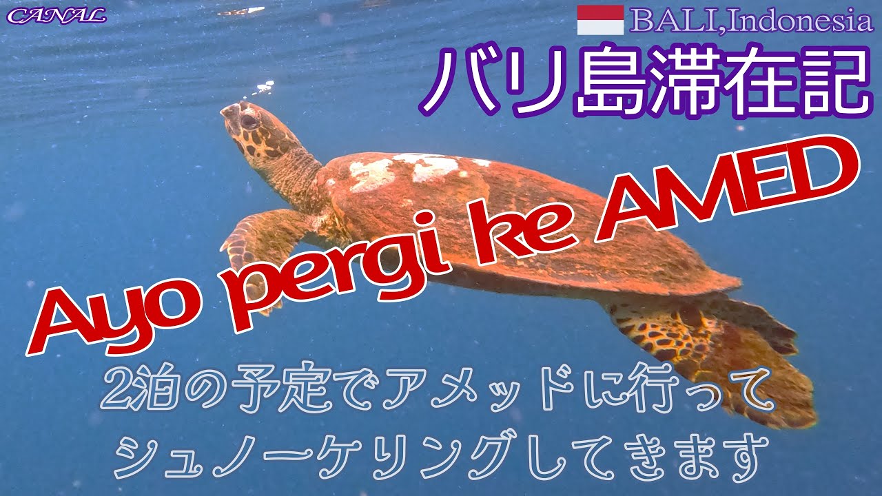 Amed,Bali【バリ島滞在記】アメッド1日目　#bali #amed #バリ島