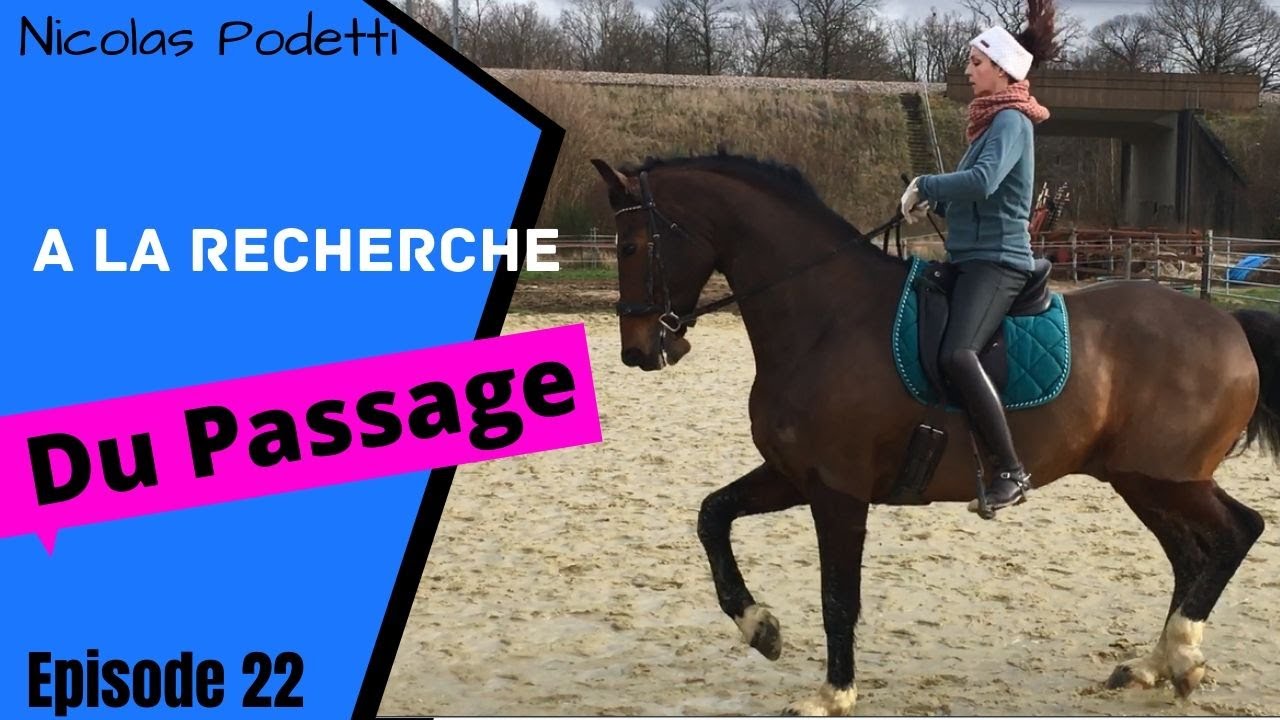 A la recherche du passage (équitation)