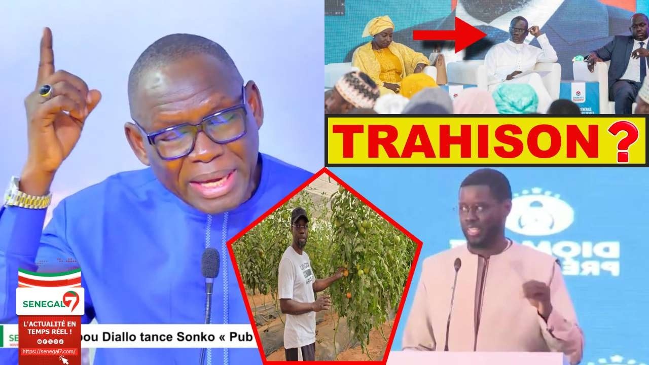 Démission de Sonko après trahison de Diomaye ? : La réaction surprenante de Serigne Saliou Gueye