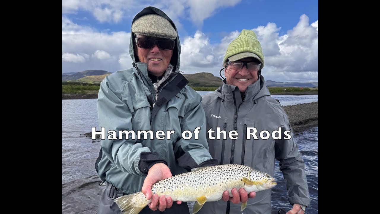 Hammer of the Rods