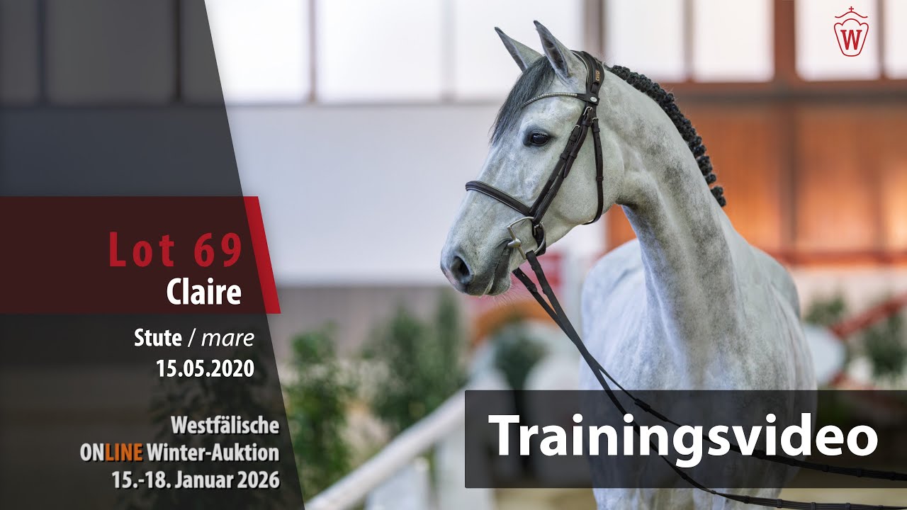 Online Winter-Auktion 2026 Training Lot 69 Claire Stute v. Crack - Loran