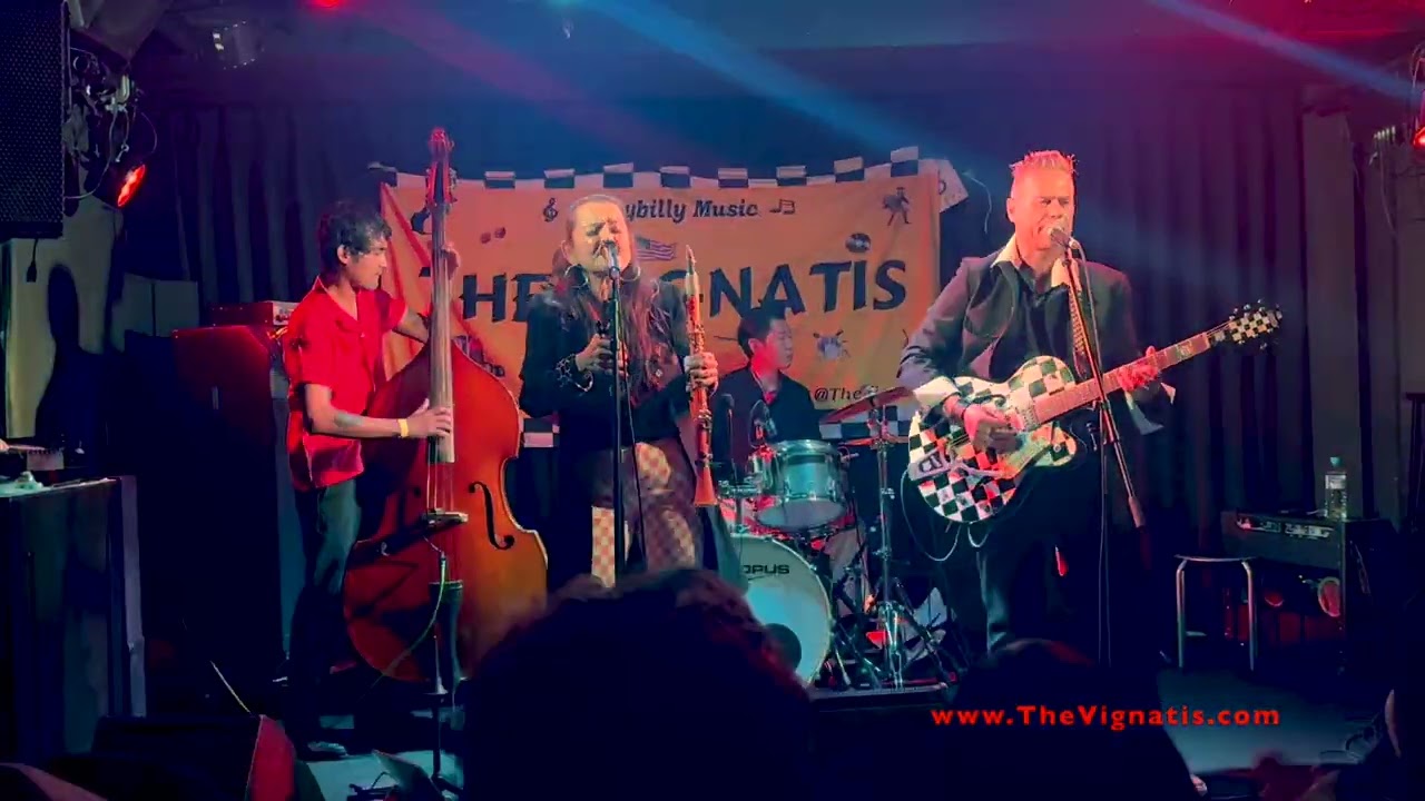 The Vignatis (LIVE) 