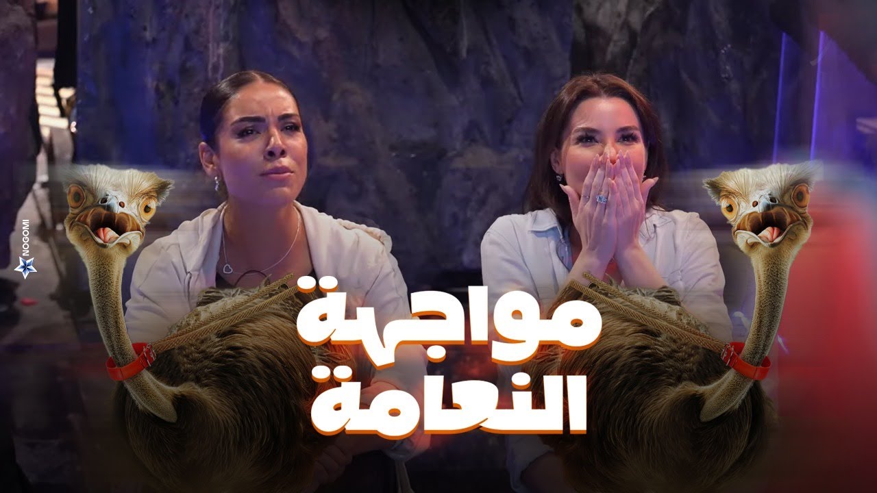 رامز جلال | شوف اللى حصل لـ بدرة وجوهرة بعد مواجهة الاعصار ونعام رامز جاب من الاخر
