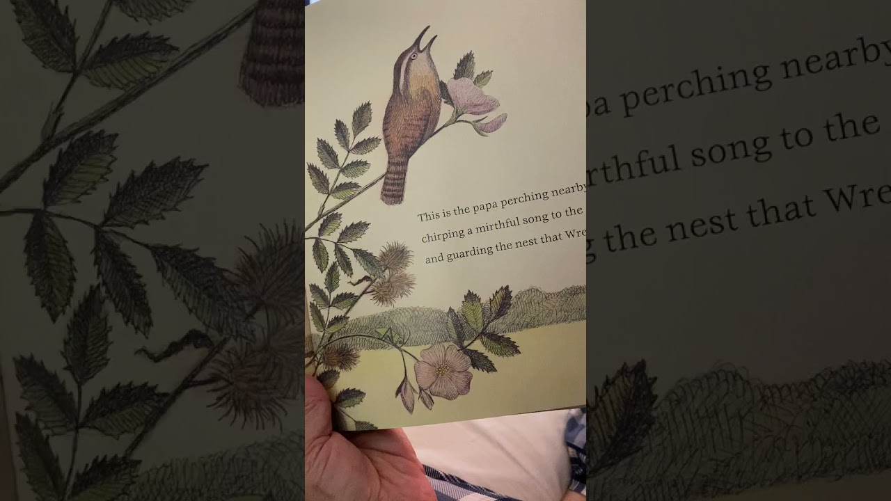Сказка на ночь «Гнездо, которое построила крапивница». Озвучено Рэнди Соненшайн, иллюстрации Энн ...