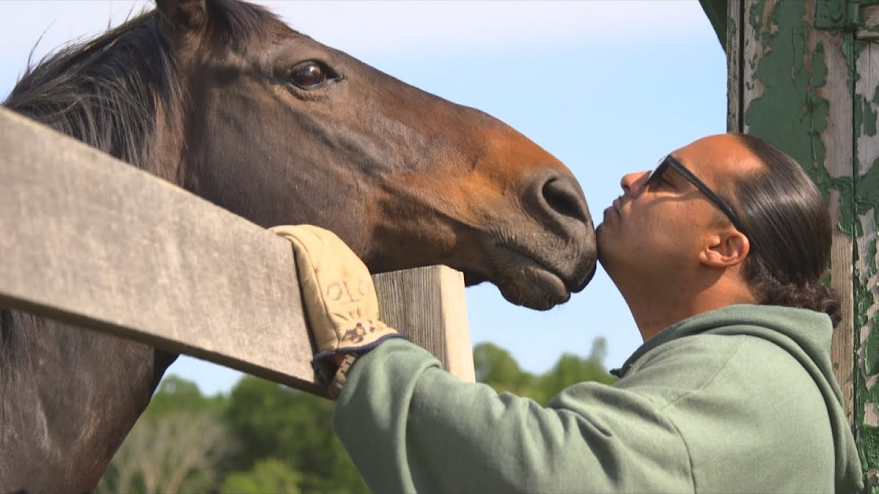 Life Off the Tracks: Retired Racehorses Get a 2nd Chance