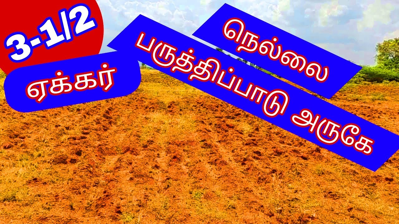திருநெல்வேலி பருத்திப்பாடு அருகே 3.1/2 ஏக்கர் தார்ரோடு முகப்பில்.செம்மண்நிலம்-2400-026.02.11
