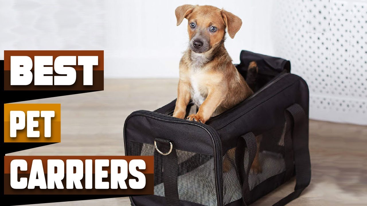 Best Pet Carrier In 2026 - Top 10 Pet Carriers Review