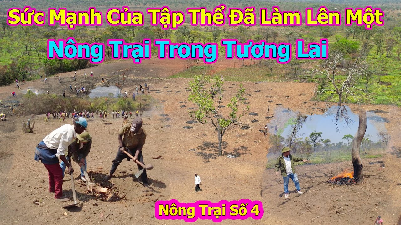 Đông Paulo || Sức Mạnh Của Một Tập Thể Đã Hô Biến Vùng Đất Bỏ Hoang Thành Một Nông Trại