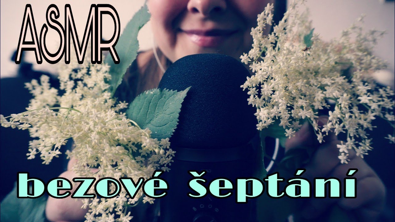 ASMR CZECH /CZ/  Šeptání o bezu černém ❤️