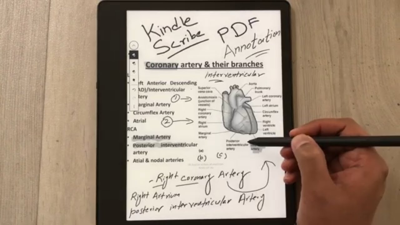 Amazon Kindle Scribe: PDF Annotations with Premium Pen