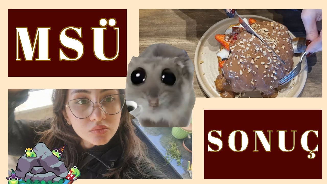 MSÜ SONUCUM, YORUMUM...KAOS