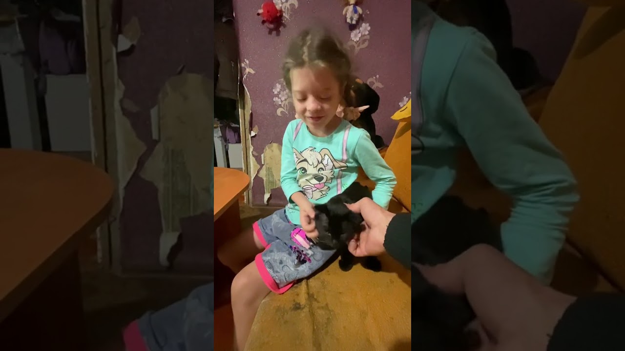 День рождения / ГАРДЕЙ И ИВАНЫЧ #топ #волгоград #дед #рек #shorts #shortsvideo #artist #art #ютуб