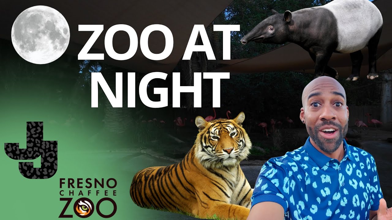 I Walked Around The Zoo At Night