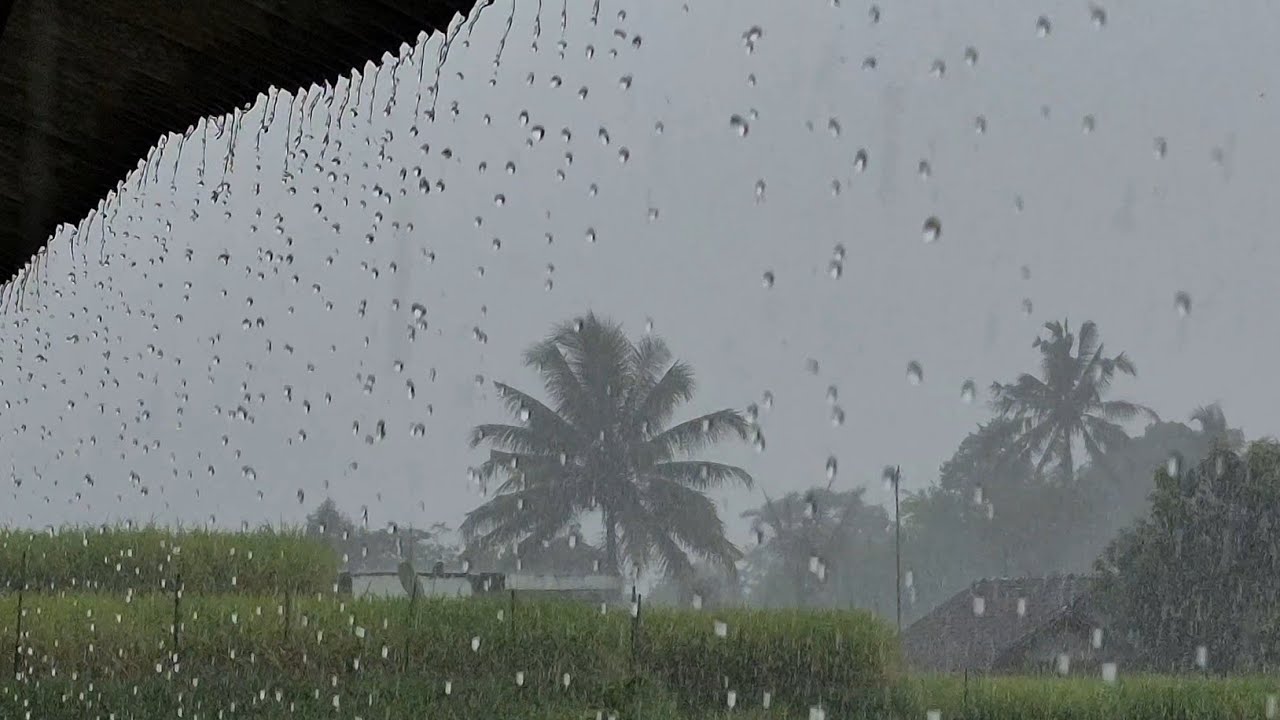 EXTREME HEAVY RAIN SOUNDS 🌧️ 2 HOURS | Deep Sleep, Calm Night, No Music