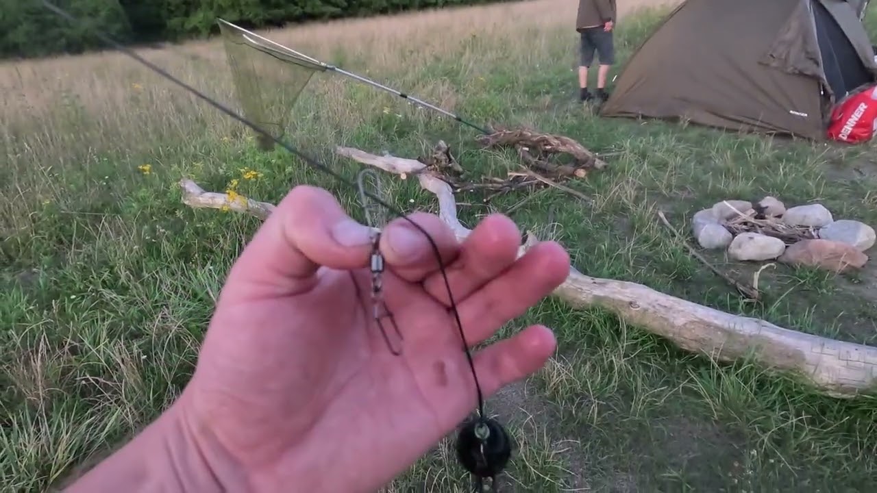 Nocka na sumach ;) gościnnie: sandacz